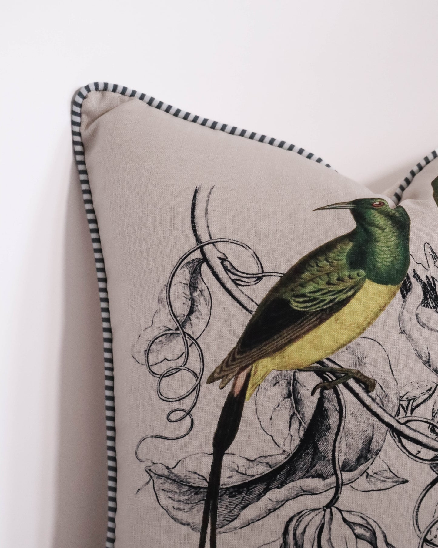 Malachite Sunbird & Friend