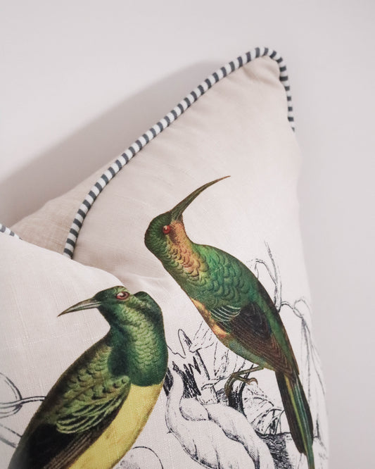 Malachite Sunbird & Friend