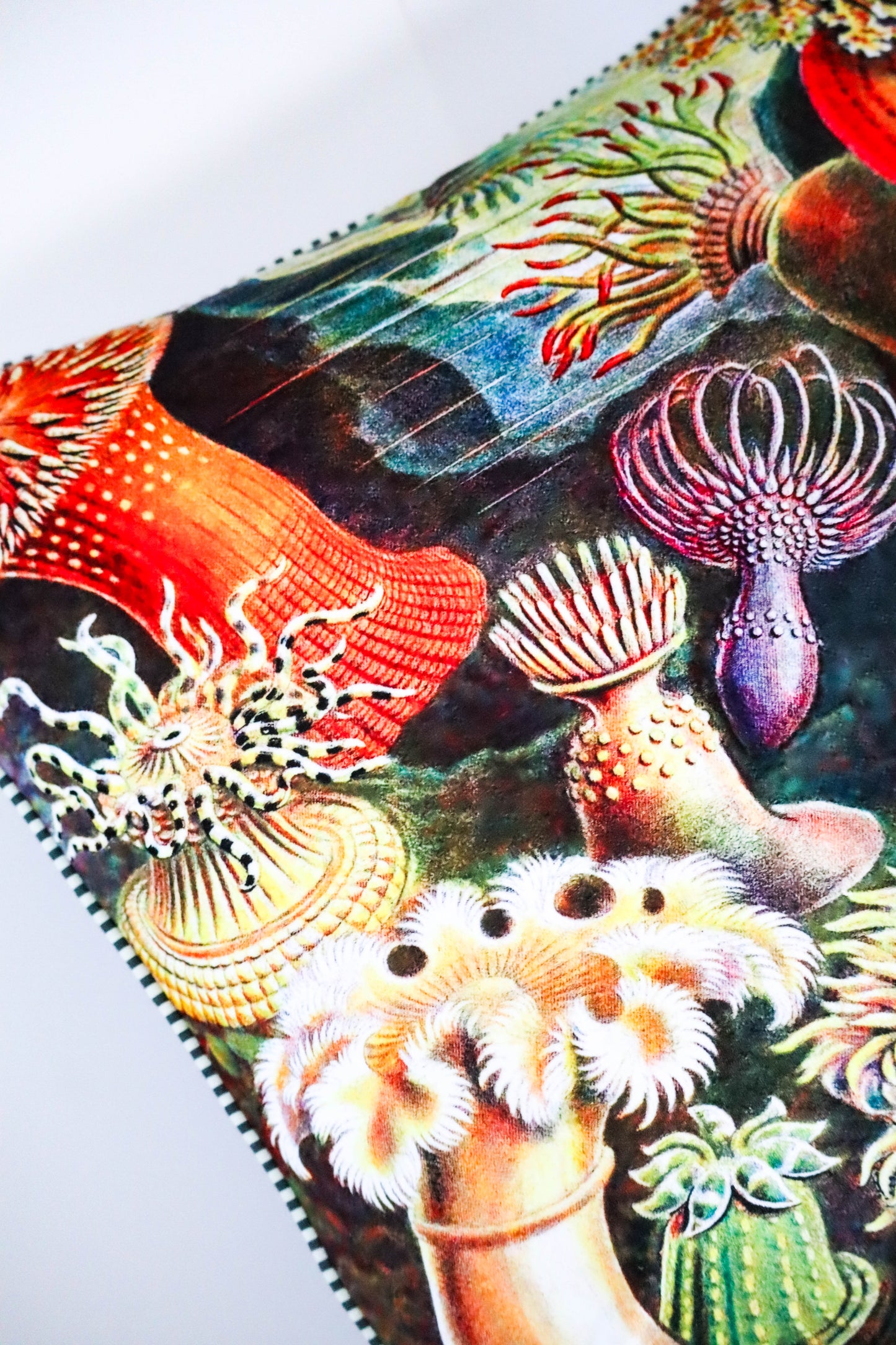 Black Anemone | Poly Velvet