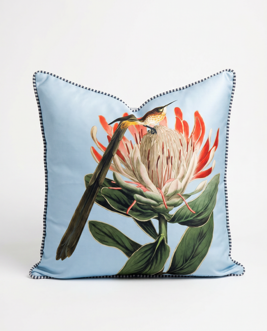 Cape Sugarbirds love Proteas