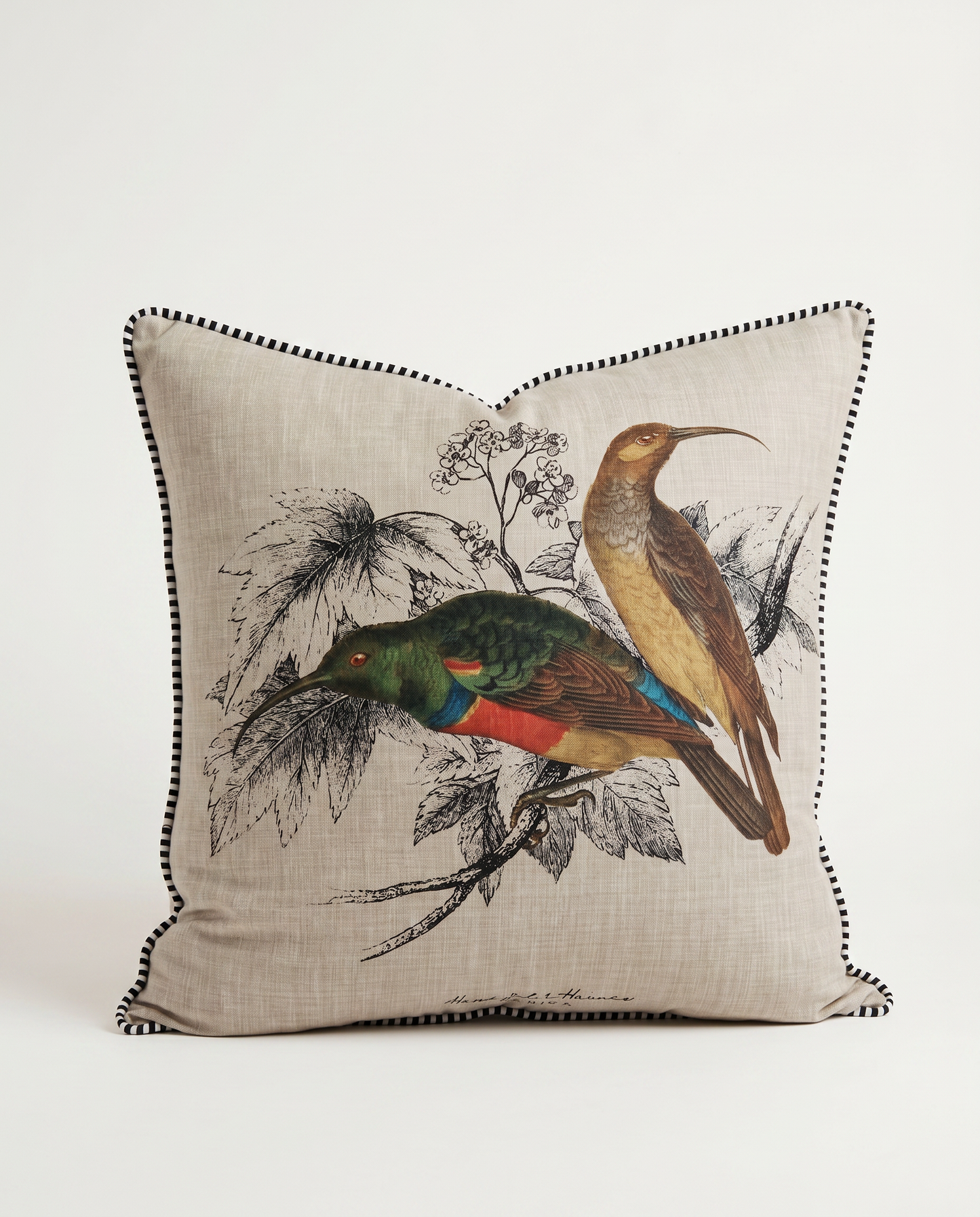 Greater Double Collared Sunbirds