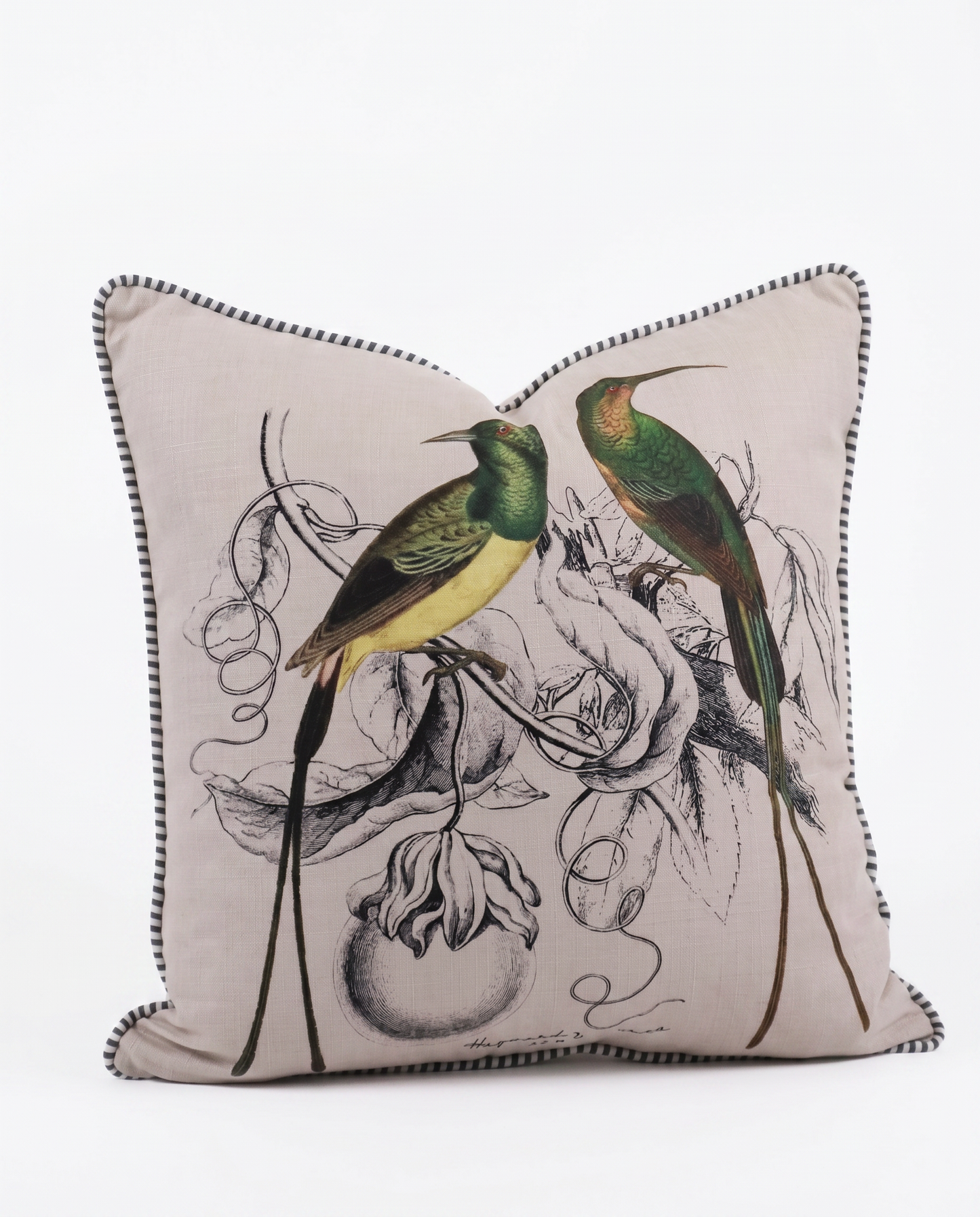 Malachite Sunbird & Friend