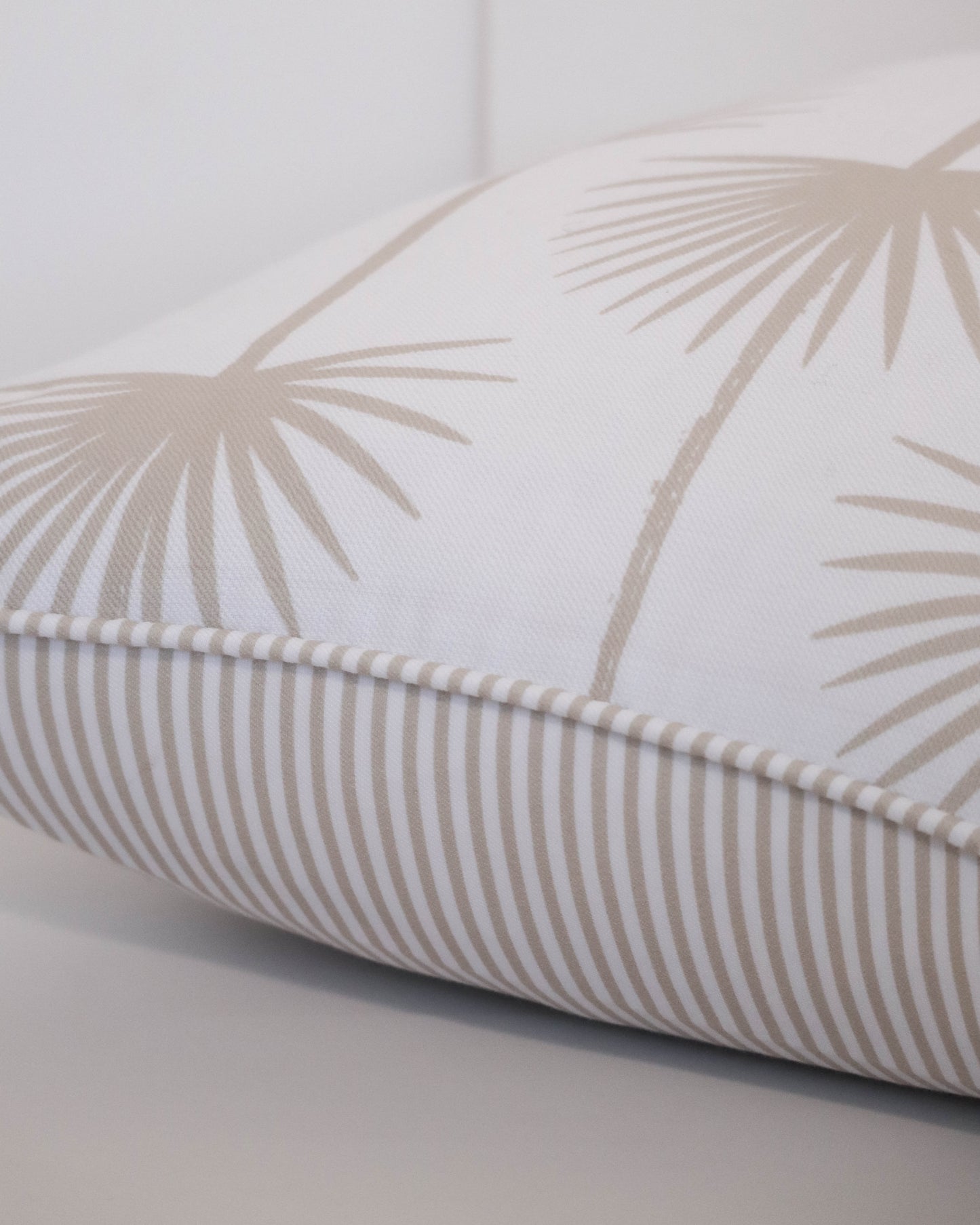 Palm