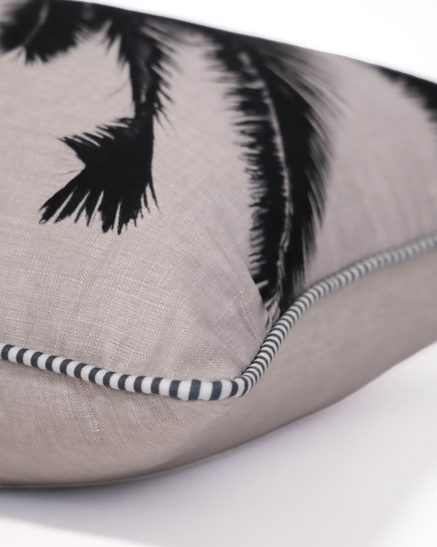 Palms Noir
