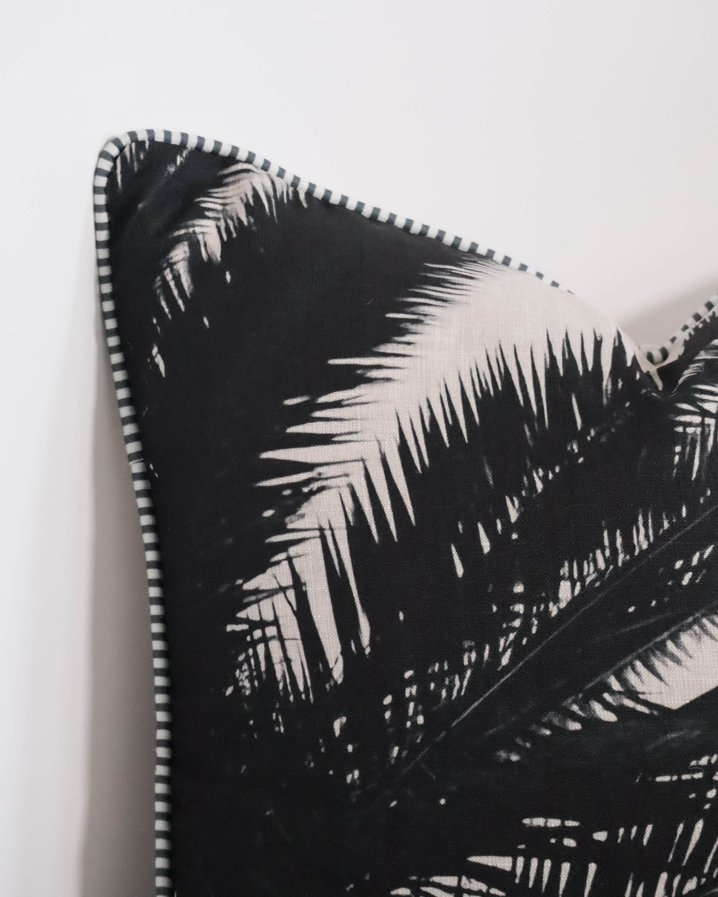 Palms Noir