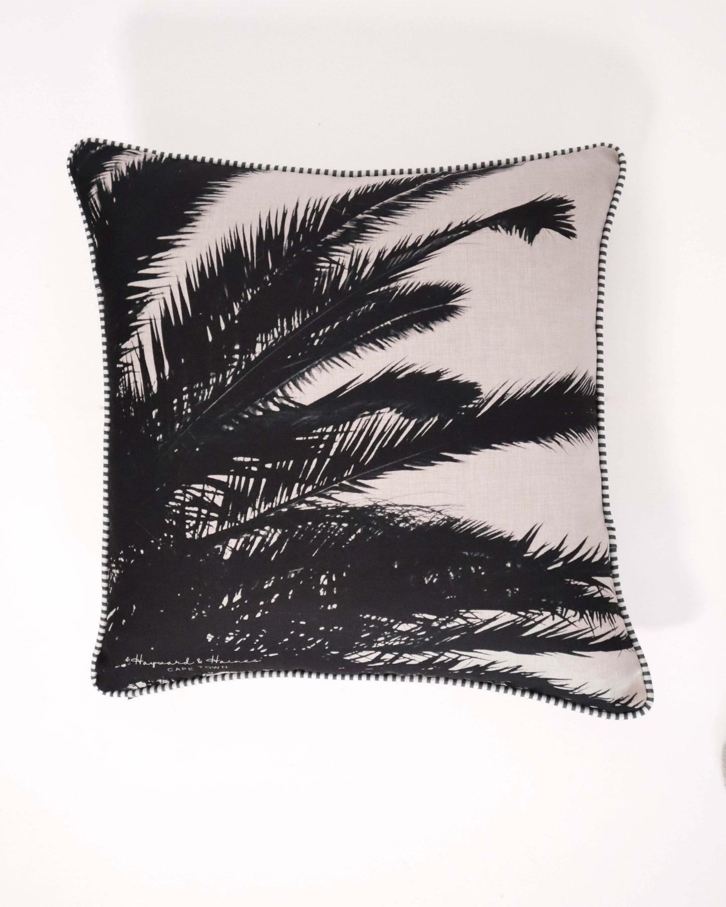Palms Noir