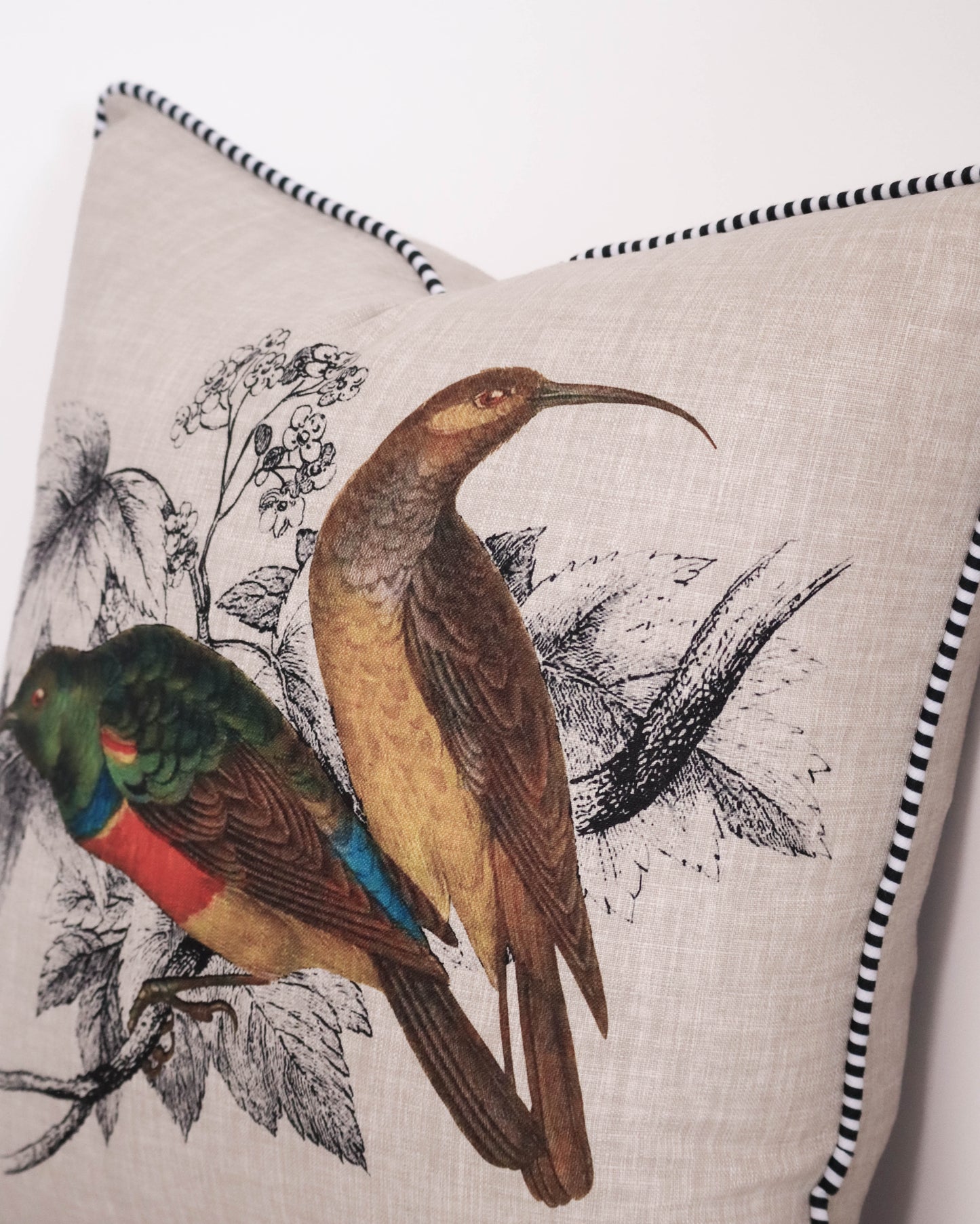 Greater Double Collared Sunbirds
