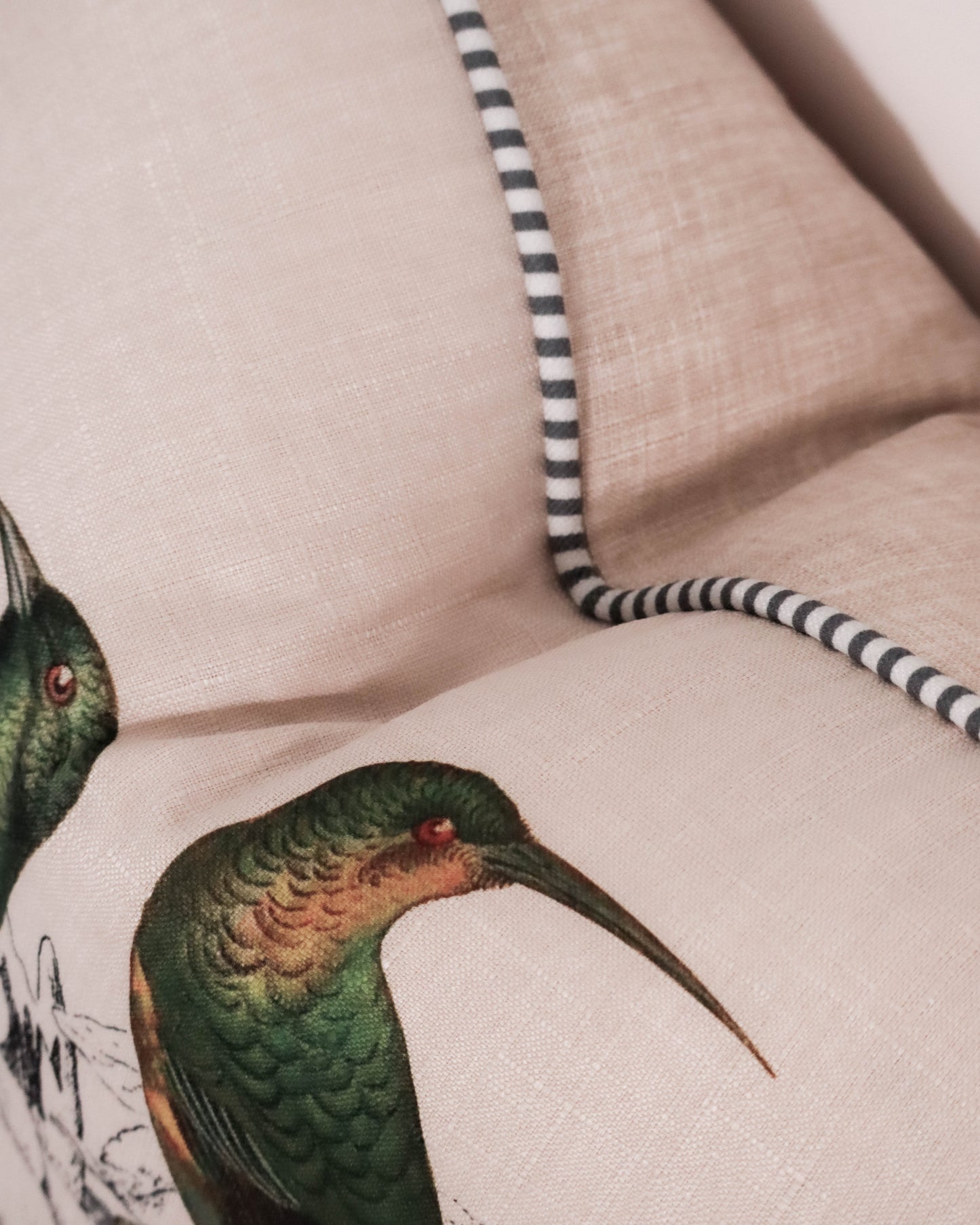 Malachite Sunbird & Friend