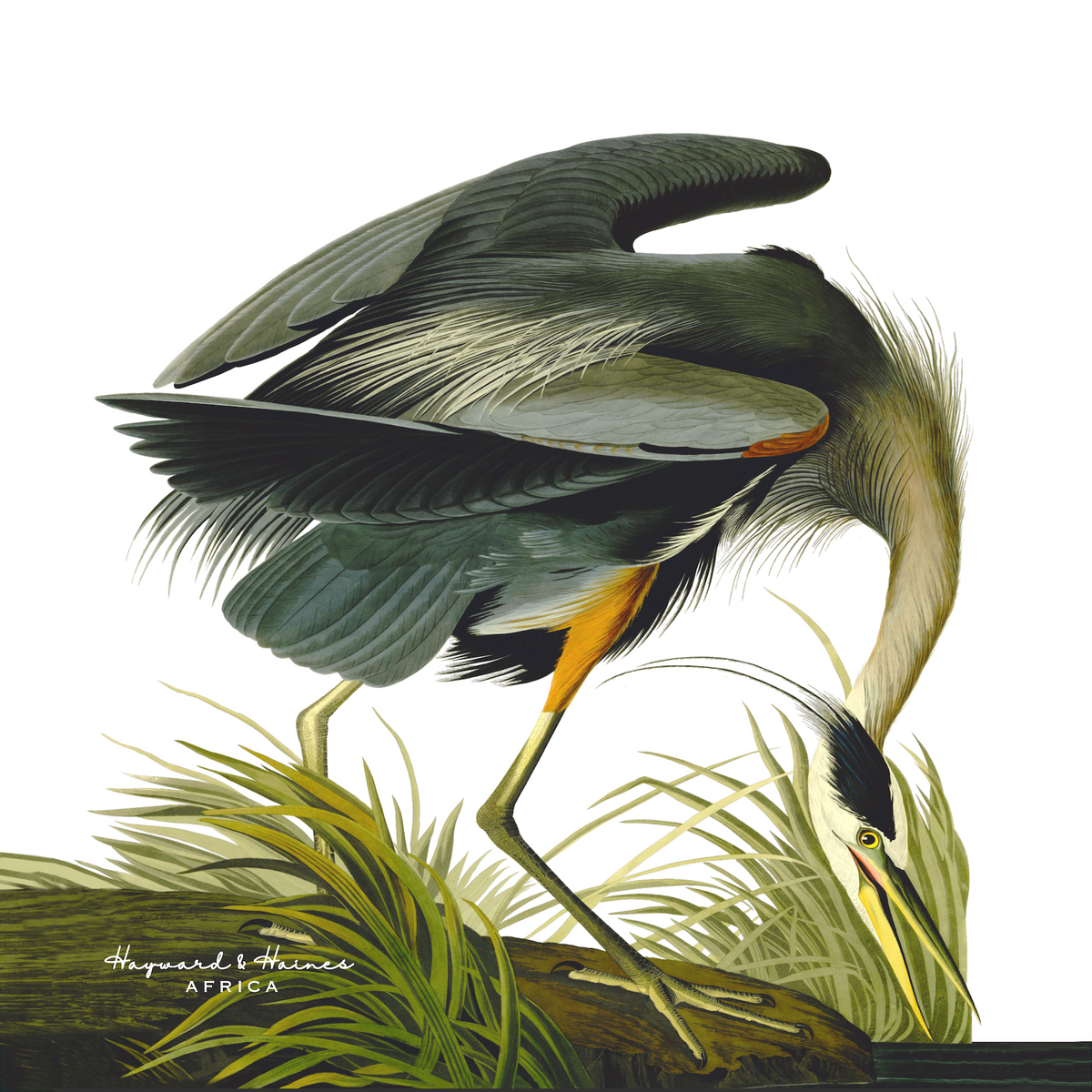 Heron | Scatter Cushion