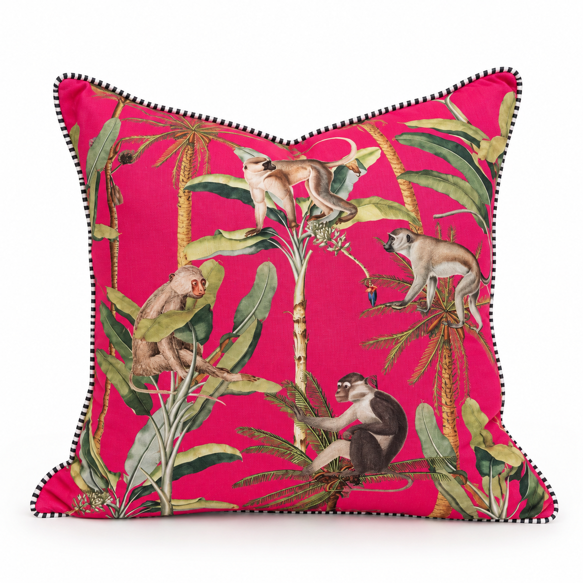 Monkey Tricks | Scatter Cushion