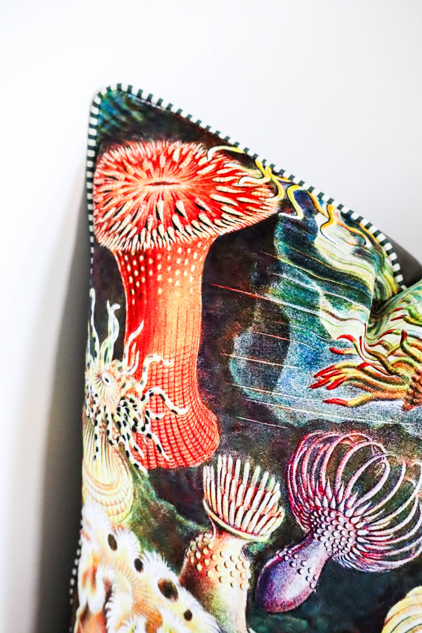 Black Anemone | Poly Velvet