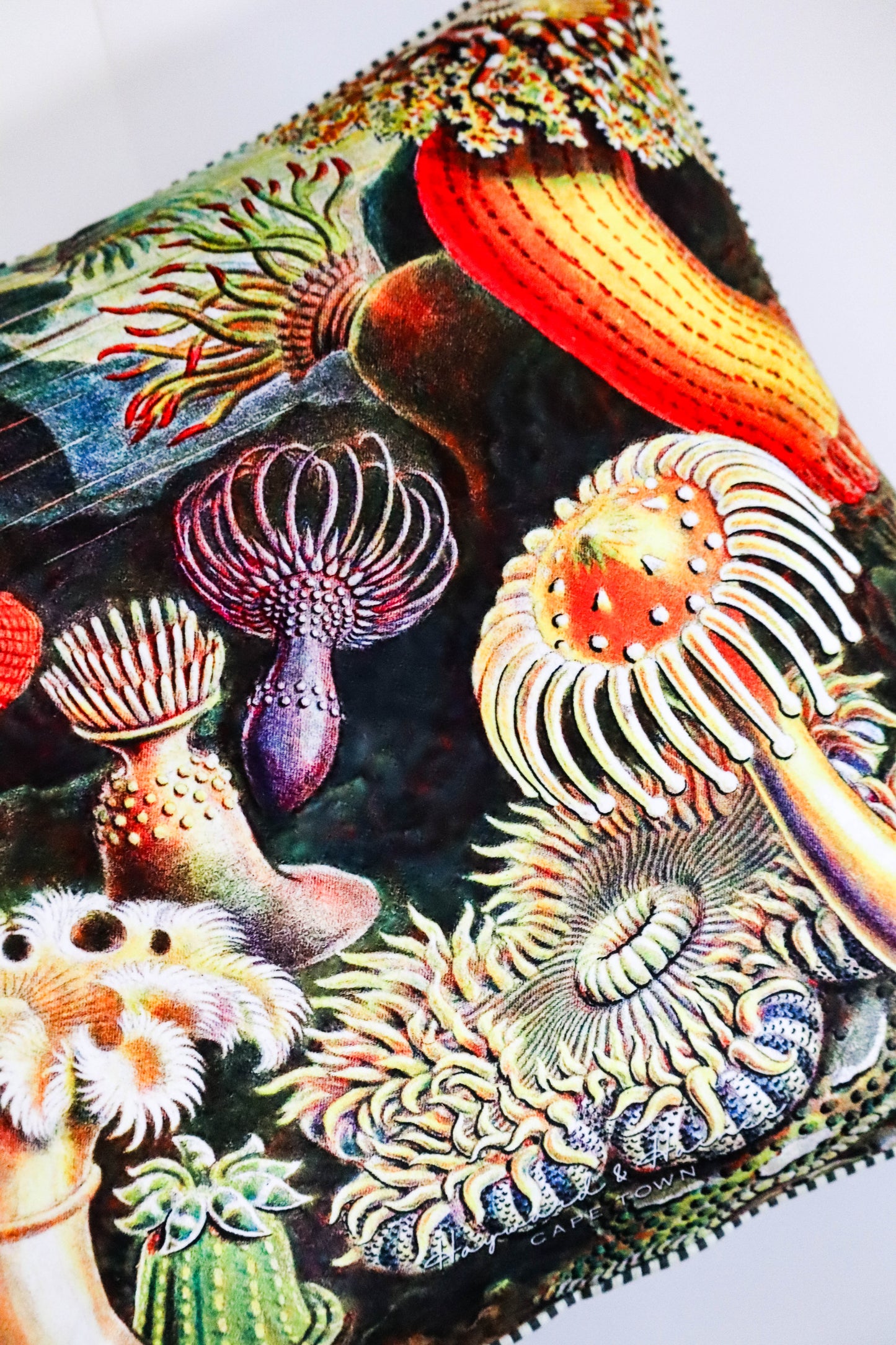 Black Anemone | Poly Velvet