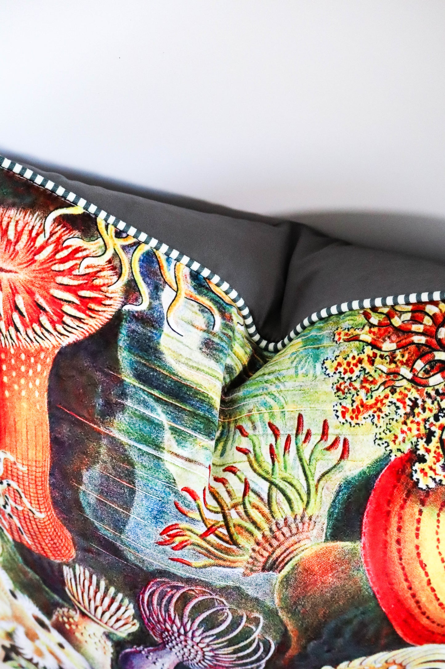 Black Anemone | Poly Velvet