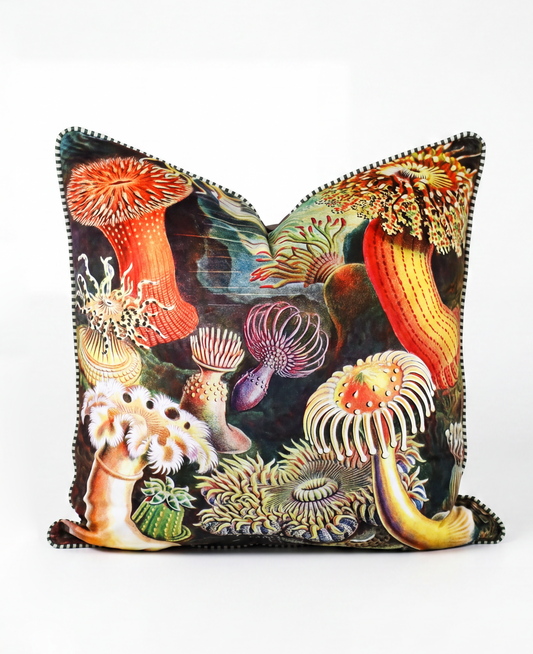 Black Anemone | Poly Velvet